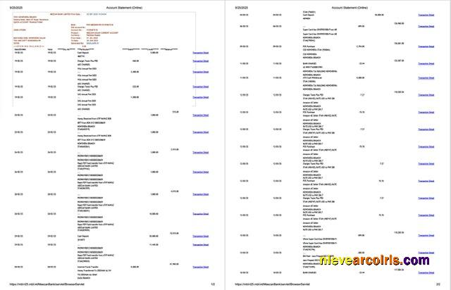Pakistan Meezan Bank Limited account statement Word and PDF, 2 pages